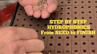 Hydroponic Seed to Finish STEP BY STEP [upl. by Ylicec]