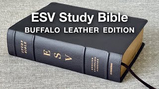 ESV Study Bible  Full Review Buffalo Leather Edition [upl. by Evoy]