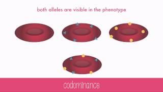 NonMendelian Genetics [upl. by Chilcote]