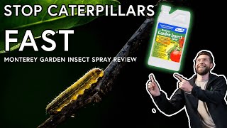 How to STOP Caterpillars from Eating your Plants Monterey Garden Insect Spray Review [upl. by Ruhtra]