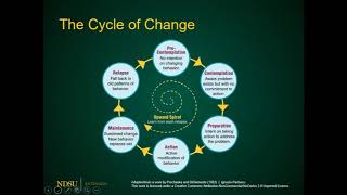 Understanding Change Theory [upl. by Imhskal]