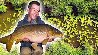 Carp Fishing on the River  an EPIC start to our fishing season [upl. by Everard862]