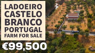 3 Bedroom Farm House For Sale  Ladoeiro Central Portugal  VIRTUAL PROPERTY TOUR ☀ [upl. by Elo]