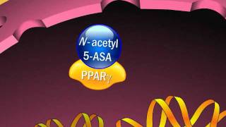 Mechanism of Action of Aminosalicylates [upl. by Josi510]