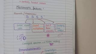 Bronchogenic Carcinoma  Pathology [upl. by Thordia60]