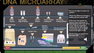 DNA microarray [upl. by Einnal516]