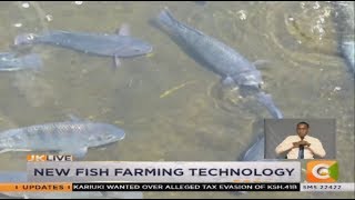 SMART FARM  New Fish Farming Technology [upl. by Waverly]