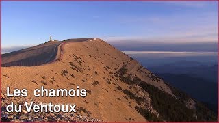 Lascension du Ventoux [upl. by Atiuqat763]