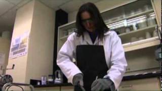 Proximate Analysis  Sample Preparation [upl. by Mace205]