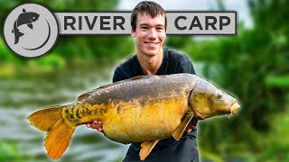 How To Catch Carp From RIVERS  4 steps to catching river carp [upl. by Isahella519]