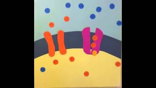 Establishing Resting Membrane Potential [upl. by Gautier]