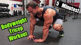 Intense 5 Minute At Home Tricep Workout 2 [upl. by Wexler]