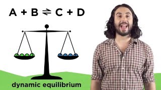 Chemical Equilibria and Reaction Quotients [upl. by Hanonew]