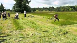 BCS mower vs scythe 2012 [upl. by Egief643]