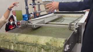 EWS Algae A60 HighSpeed ChemicalFree Algae Harvesting [upl. by Fredra]