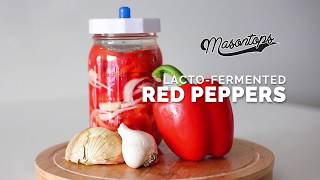 Learn How To Ferment Red Peppers [upl. by Anev]