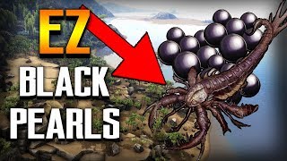 Ark Survival How to Get BLACK PEARLS on Ragnarok [upl. by Jillian]