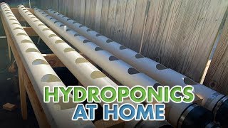 Hydroponics at Home [upl. by Cynera203]