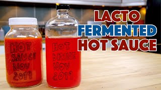 🌱 LACTO Fermented HOT Pepper  Hot Pepper Sauce Recipe [upl. by Mayman]