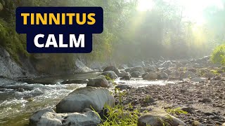 Tinnitus Relief Sound Therapy  Ambient River White Noise [upl. by Kirsteni]