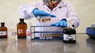 Iodoform test Experiment Aldehyde and Ketone [upl. by Akenahs]