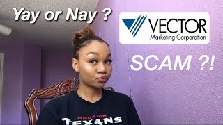 VECTOR MARKETING  CUTCO A SCAM [upl. by Amando740]