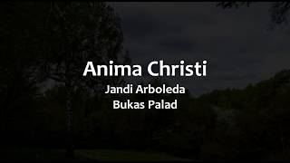 Anima Christi Instrumental [upl. by Ainolloppa]