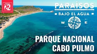 Parque Nacional Cabo Pulmo [upl. by Kassel226]