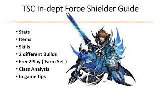 Cabal Mobile  Force Shielder Guide  Stats  Items  Skills  2 different Builds [upl. by Acisse]