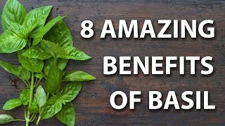 8 Health Benefits of Basil [upl. by Elfrida]