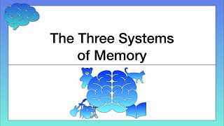 The Three Systems of Memory [upl. by Wyly721]