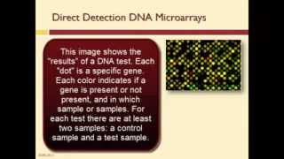 An Introduction to DNA Microarrays [upl. by Aneetsirhc]