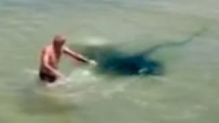 STINGRAY ATTACKS MAN  IS THIS REAL [upl. by Linzy]