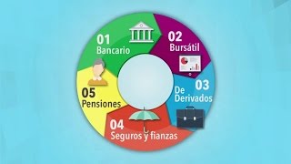 El Sistema Financiero Mexicano [upl. by Emelen60]