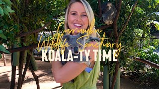 Koalaty Time with Currumbin Wildlife Sanctuary amp Candice Dixon  LIVE from Aus Gold Coast [upl. by Aminta]