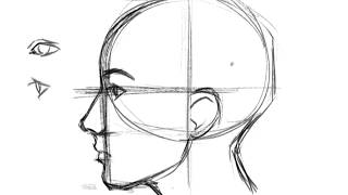 How to Draw a Face Profile [upl. by Essile]