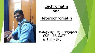 Euchromatin amp Heterochromatin [upl. by Nelluc645]