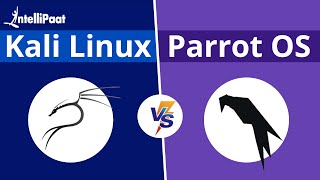 Kali Linux vs Parrot OS  Best OS For Ethical Hacking  Intellipaat [upl. by Basso]