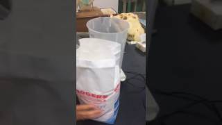 Making Sucrose solution 1 [upl. by Araminta]