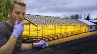 How Geothermal Energy Revolutionised Iceland’s Greenhouses  Earth Science [upl. by Costello163]