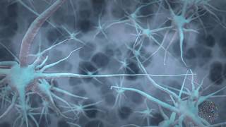 What is MEA  Multielectrode Array Assay [upl. by Asyral]