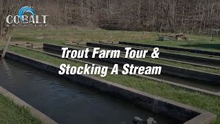 Cobalt Trout Farm Tour and Stocking A Stream [upl. by Pate]