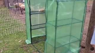 Putting together a small greenhouse from Tractor Supply [upl. by Raimes777]