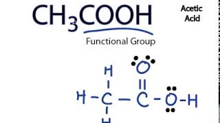 CH3COOH Lewis Structure Acetic acid [upl. by Nedyaj]