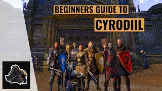 Elder Scrolls Online PvP Beginner Guide To Cyrodiil [upl. by Etaner]