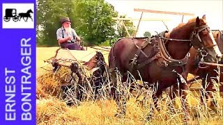 Amish Farmer with 4 Horse Hitch Binding Wheat [upl. by Trilbie347]