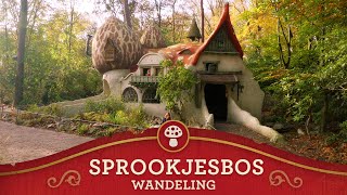 Efteling Walkthrough  Sprookjesbos [upl. by Tereve]