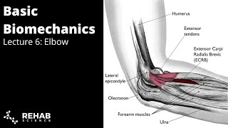 Biomechanics Lecture 6 Elbow [upl. by Suirad975]