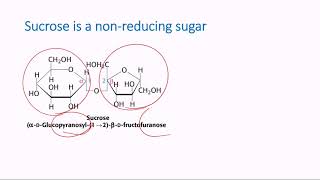 Nonreducing Sugars [upl. by Notgnillew]