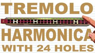 How to Play a Tremolo Harmonica with 24 Holes [upl. by Darleen26]